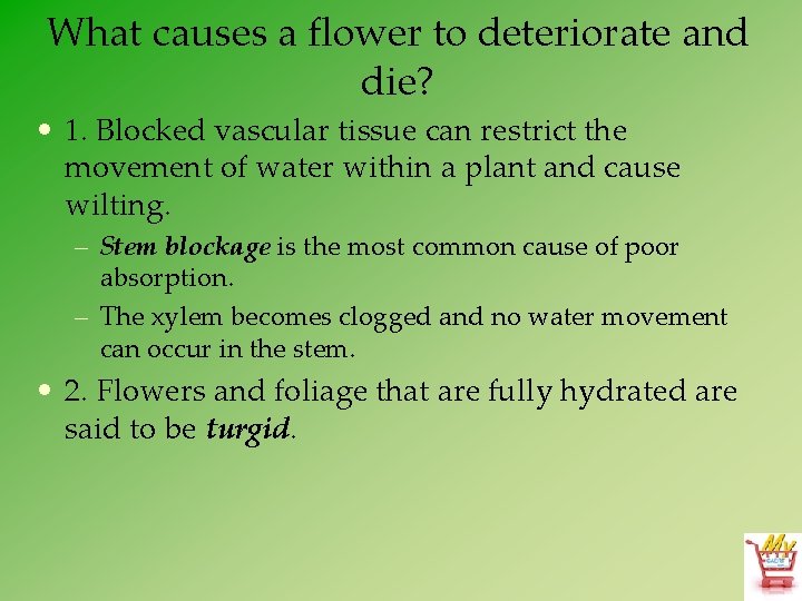 What causes a flower to deteriorate and die? • 1. Blocked vascular tissue can