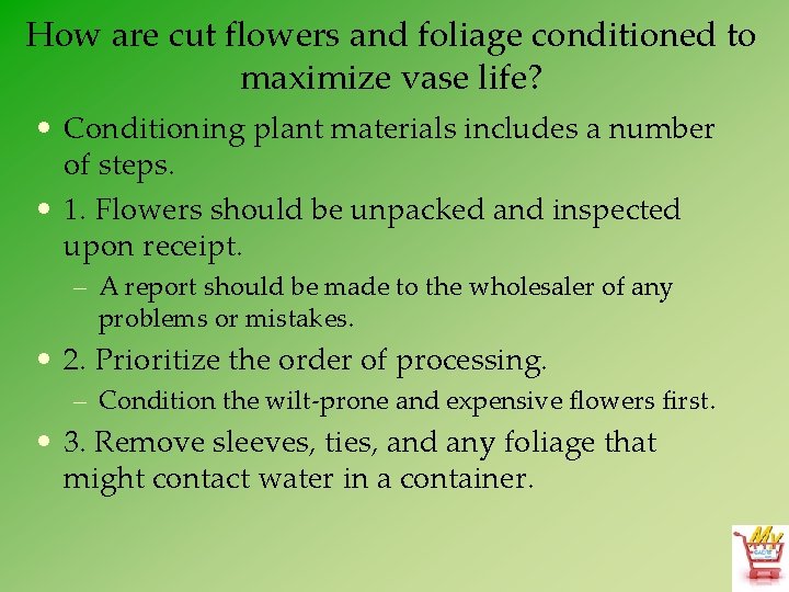 How are cut flowers and foliage conditioned to maximize vase life? • Conditioning plant