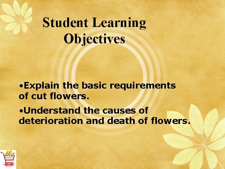 Student Learning Objectives • Explain the basic requirements of cut flowers. • Understand the