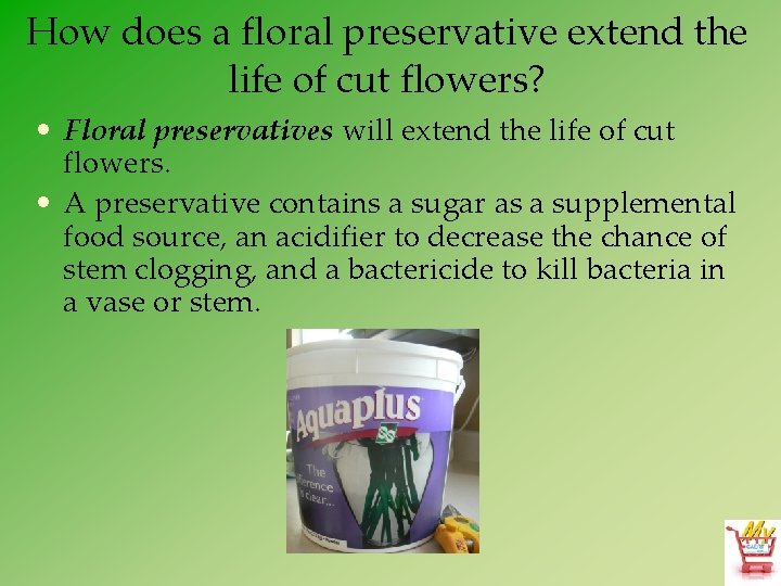 How does a floral preservative extend the life of cut flowers? • Floral preservatives