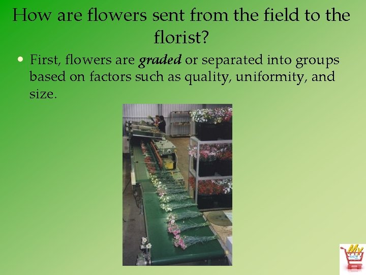 How are flowers sent from the field to the florist? • First, flowers are