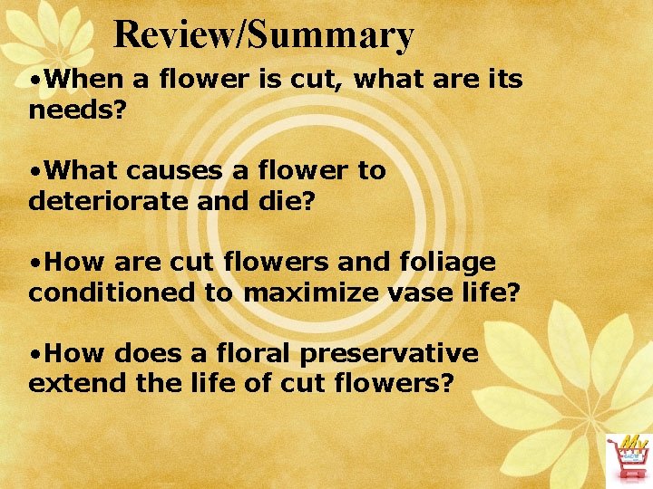 Review/Summary • When a flower is cut, what are its needs? • What causes