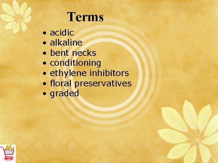 Terms • • acidic alkaline bent necks conditioning ethylene inhibitors floral preservatives graded 