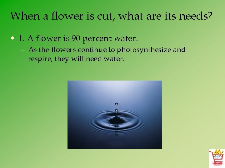 When a flower is cut, what are its needs? • 1. A flower is