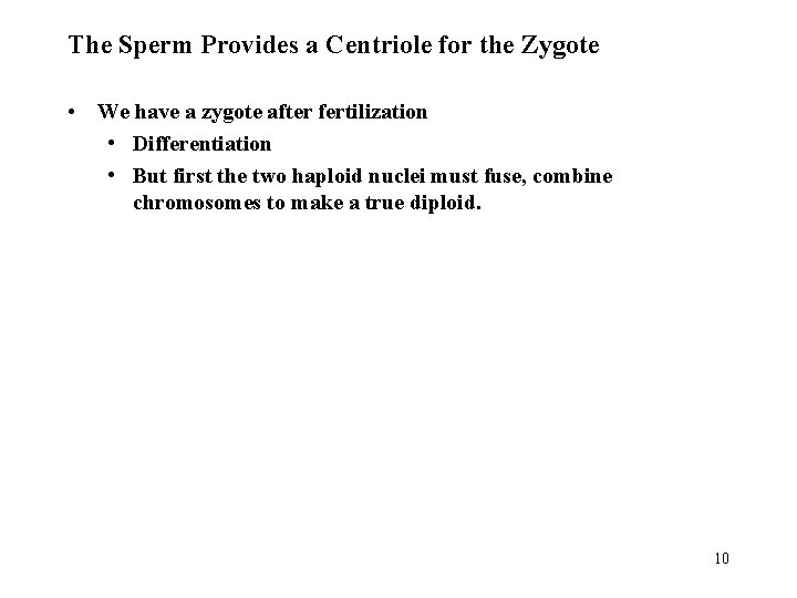 The Sperm Provides a Centriole for the Zygote • We have a zygote after The Sperm Provides a Centriole for the Zygote • We have a zygote after