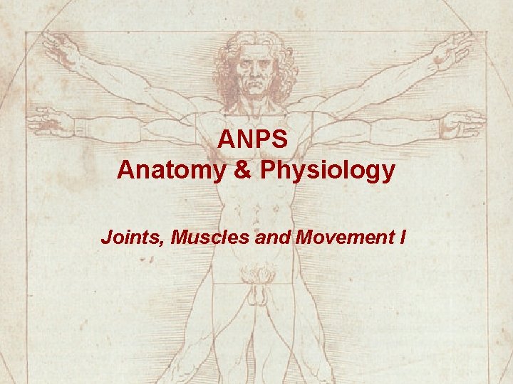 ANPS Anatomy & Physiology Joints, Muscles and Movement I 