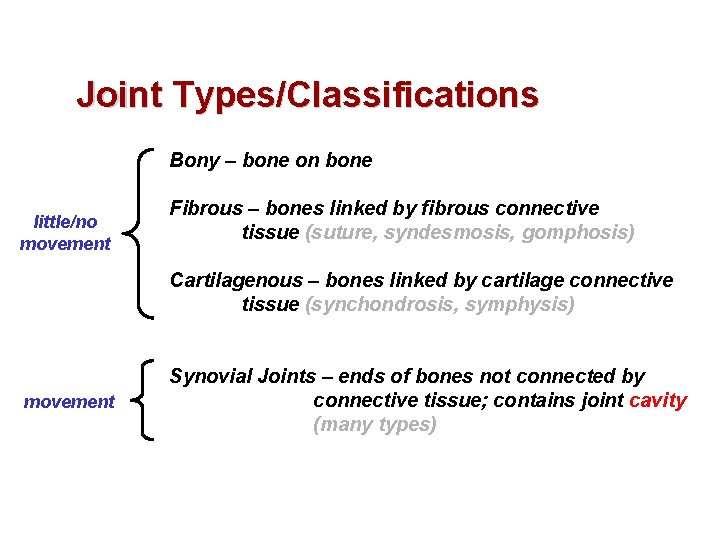 Joint Types/Classifications Bony – bone on bone little/no movement Fibrous – bones linked by