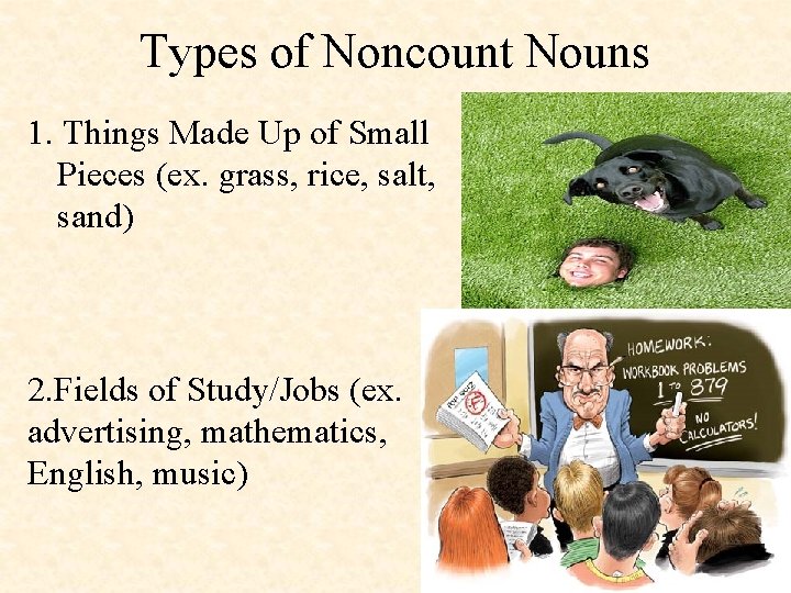 Types of Noncount Nouns 1. Things Made Up of Small Pieces (ex. grass, rice,