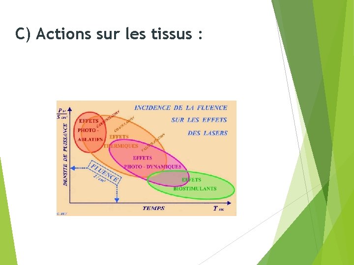 C) Actions sur les tissus : 