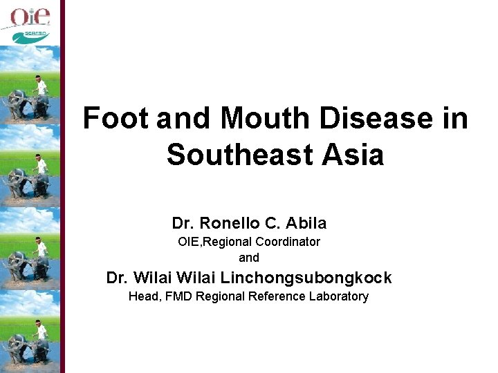 Foot and Mouth Disease in Southeast Asia Dr. Ronello C. Abila OIE, Regional Coordinator