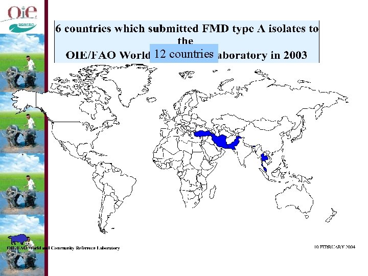 12 countries 