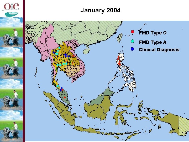 January 2004 FMD Type O FMD Type A Clinical Diagnosis 