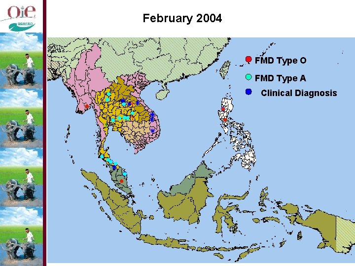 February 2004 FMD Type O FMD Type A Clinical Diagnosis 