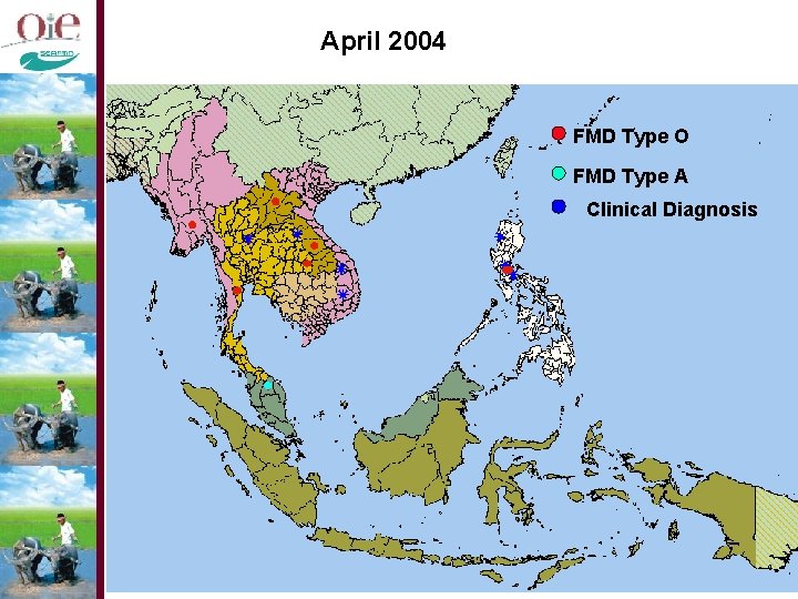 April 2004 FMD Type O FMD Type A Clinical Diagnosis 