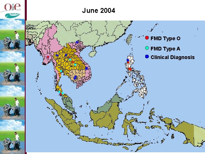 June 2004 FMD Type O FMD Type A Clinical Diagnosis 