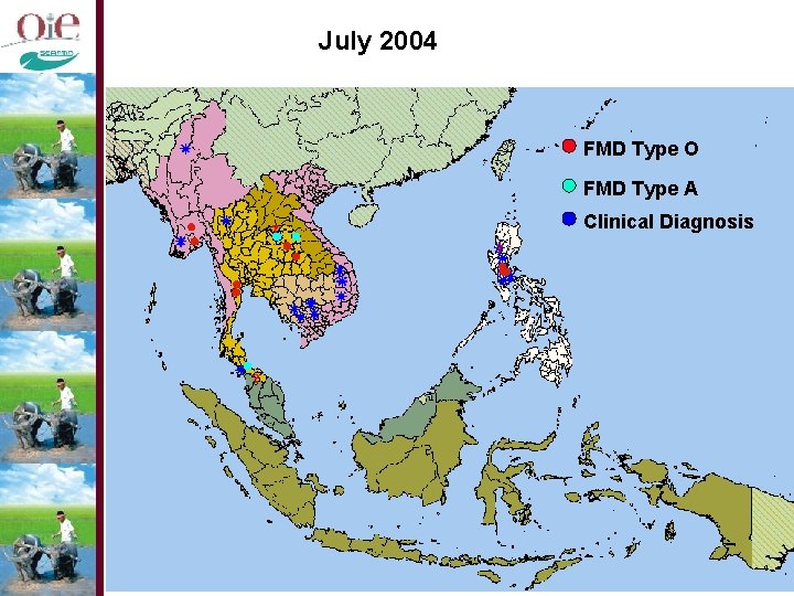 July 2004 FMD Type O FMD Type A Clinical Diagnosis 