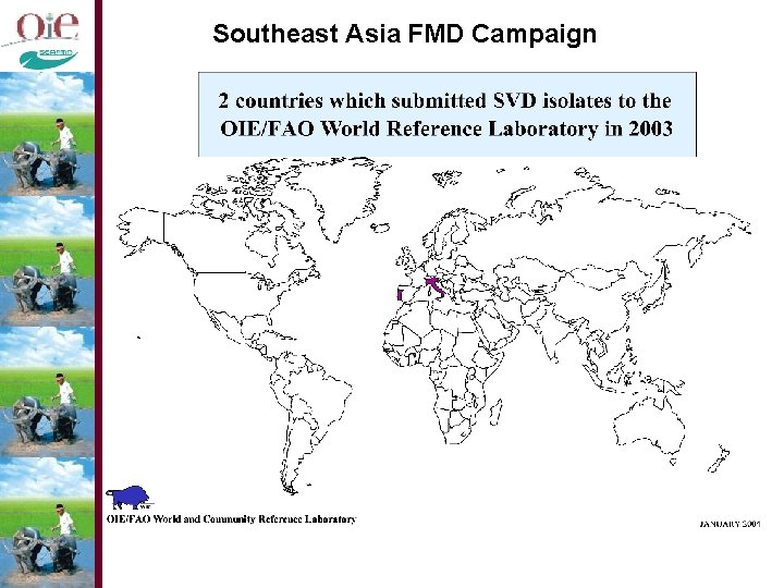 Southeast Asia FMD Campaign 