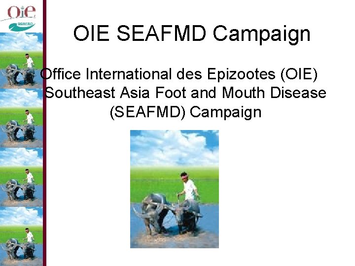 OIE SEAFMD Campaign Office International des Epizootes (OIE) Southeast Asia Foot and Mouth Disease