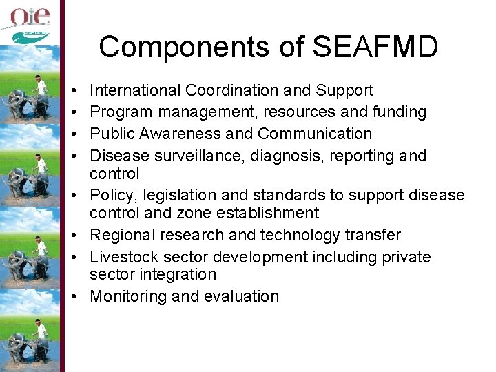 Components of SEAFMD • • International Coordination and Support Program management, resources and funding