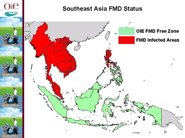 Southeast Asia FMD Status OIE FMD Free Zone FMD Infected Areas 