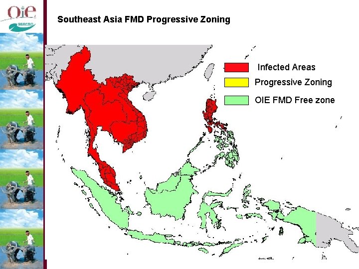 Southeast Asia FMD Progressive Zoning Infected Areas Progressive Zoning OIE FMD Free zone 