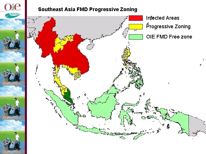 Southeast Asia FMD Progressive Zoning Infected Areas Progressive Zoning OIE FMD Free zone 