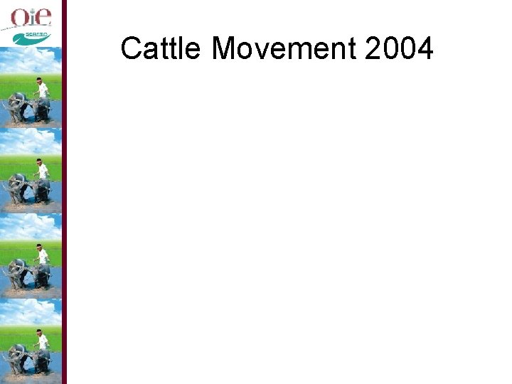 Cattle Movement 2004 