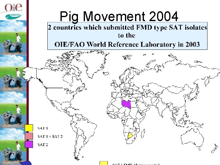 Pig Movement 2004 