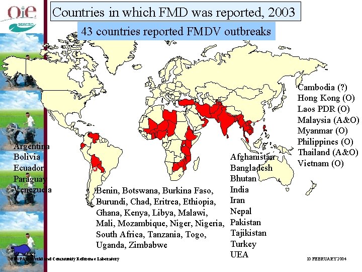 Countries in which FMD was reported, 2003 43 countries reported FMDV outbreaks Argentina Bolivia