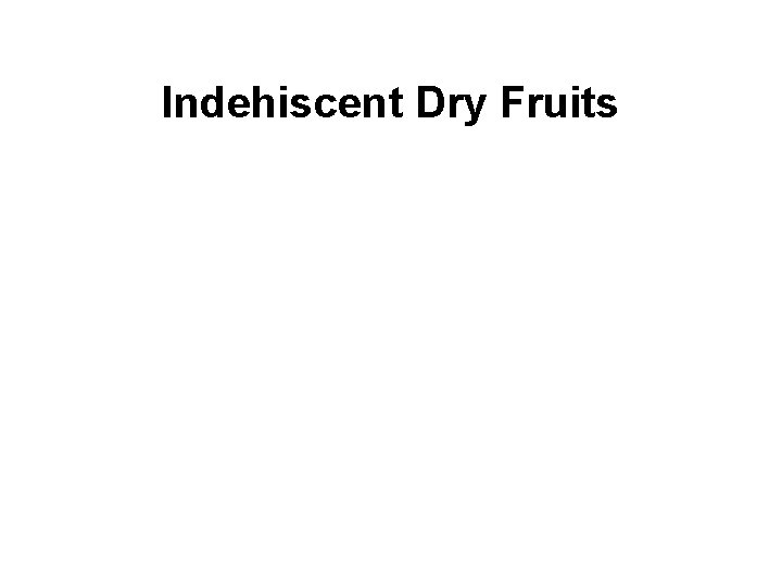 Indehiscent Dry Fruits 