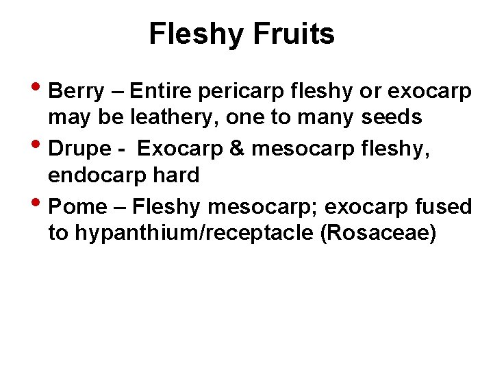 Fleshy Fruits • Berry – Entire pericarp fleshy or exocarp • • may be