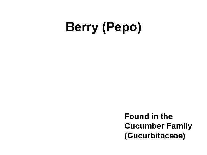Berry (Pepo) Found in the Cucumber Family (Cucurbitaceae) 