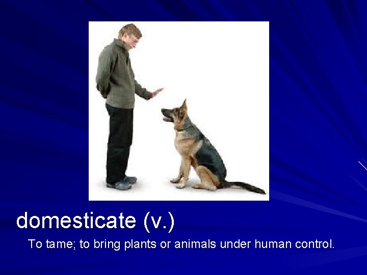 domesticate (v. ) To tame; to bring plants or animals under human control. 