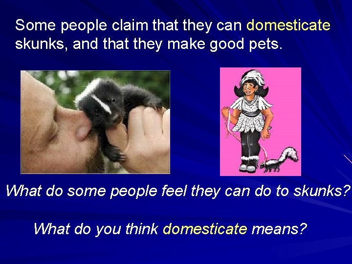 Some people claim that they can domesticate skunks, and that they make good pets.