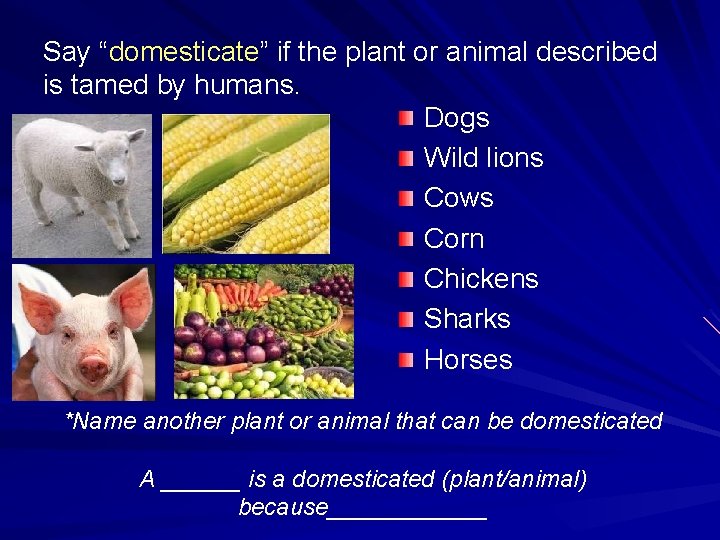 Say “domesticate” if the plant or animal described is tamed by humans. Dogs Wild