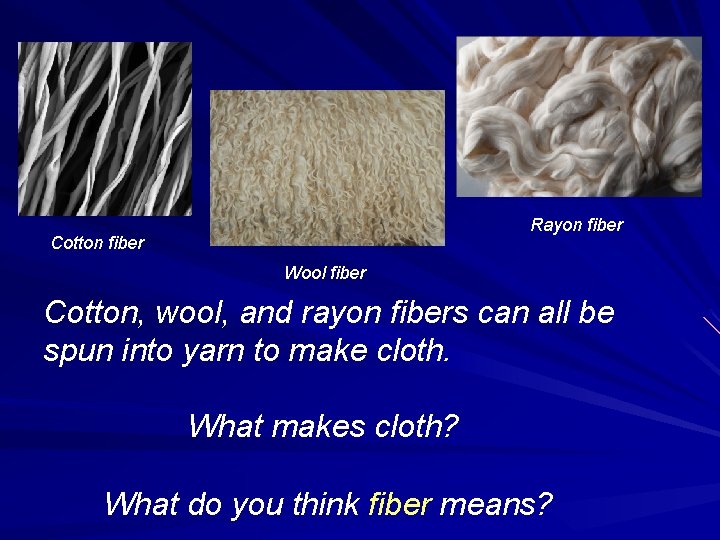 Rayon fiber Cotton fiber Wool fiber Cotton, wool, and rayon fibers can all be