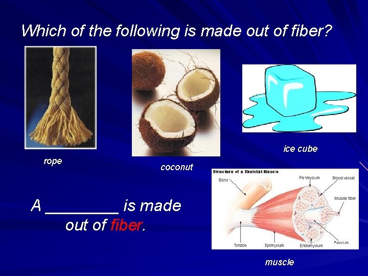 Which of the following is made out of fiber? ice cube rope coconut A