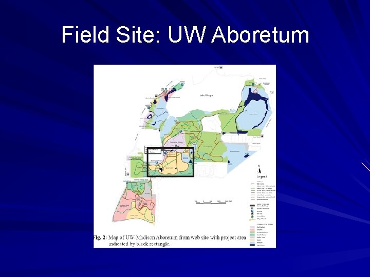 Field Site: UW Aboretum 