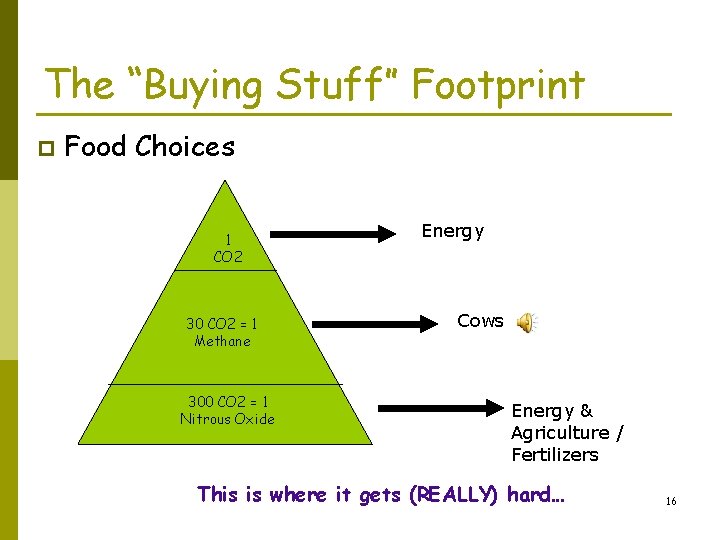 The “Buying Stuff” Footprint p Food Choices 1 CO 2 30 CO 2 =