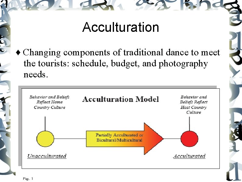 Acculturation ♦ Changing components of traditional dance to meet the tourists: schedule, budget, and