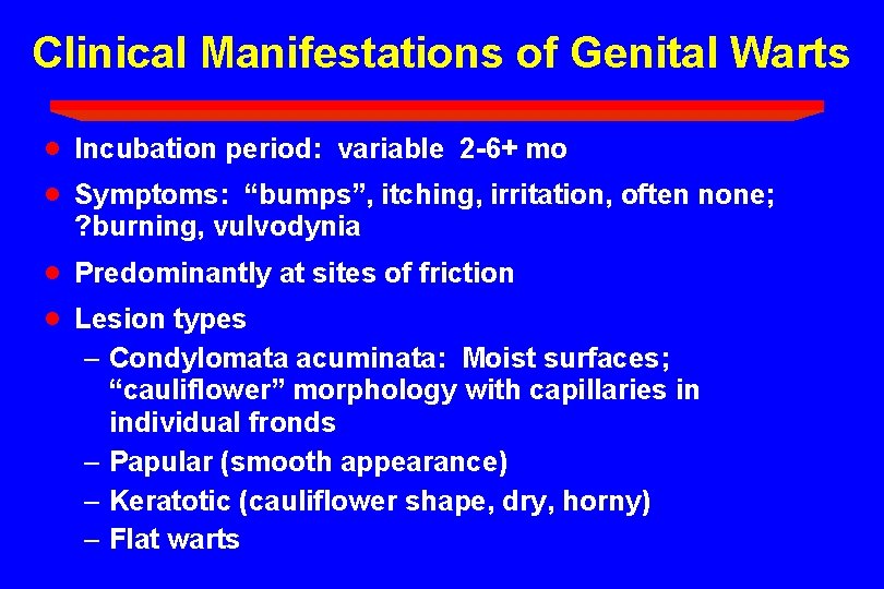Clinical Manifestations of Genital Warts · · Incubation period: variable 2 -6+ mo ·
