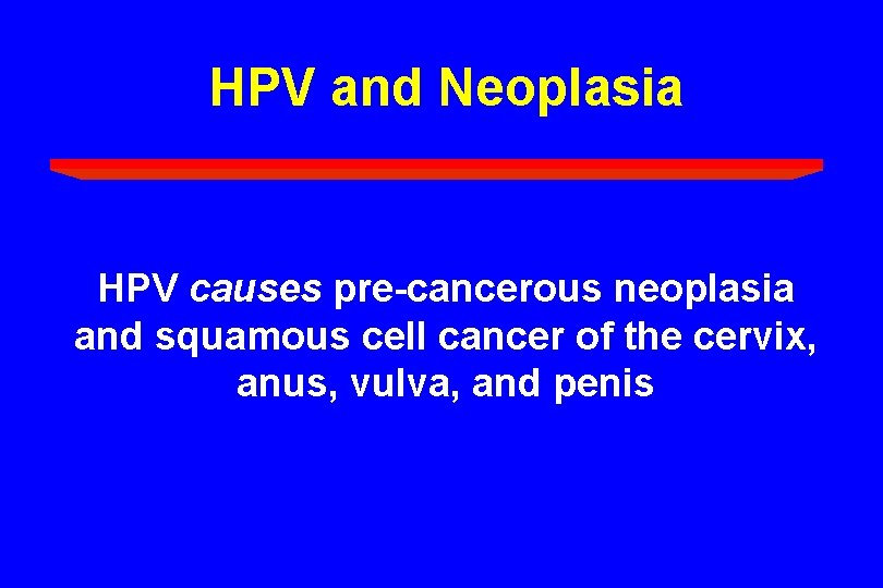 HPV and Neoplasia HPV causes pre-cancerous neoplasia and squamous cell cancer of the cervix,