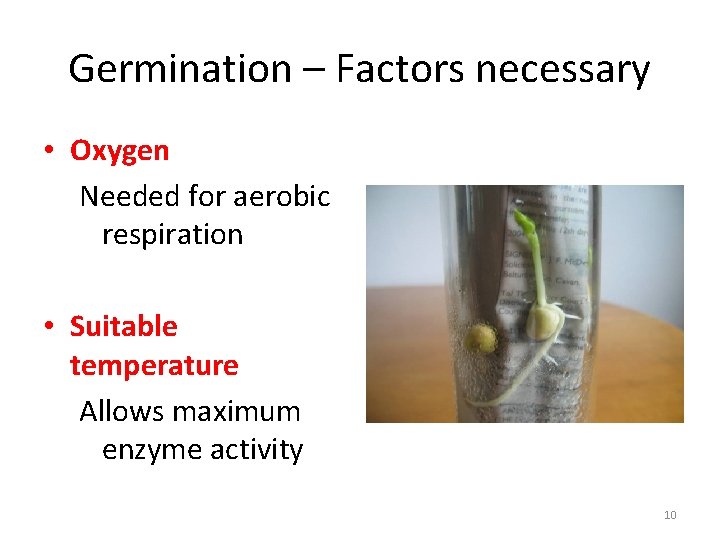 Germination – Factors necessary • Oxygen Needed for aerobic respiration • Suitable temperature Allows