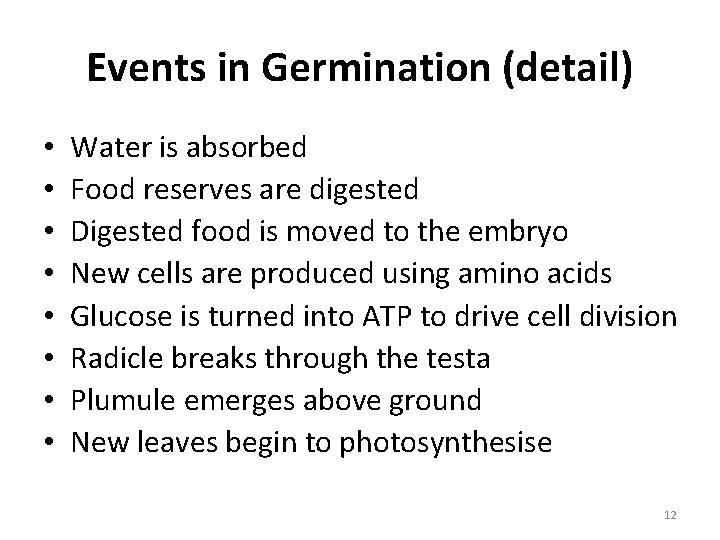 Events in Germination (detail) • • Water is absorbed Food reserves are digested Digested