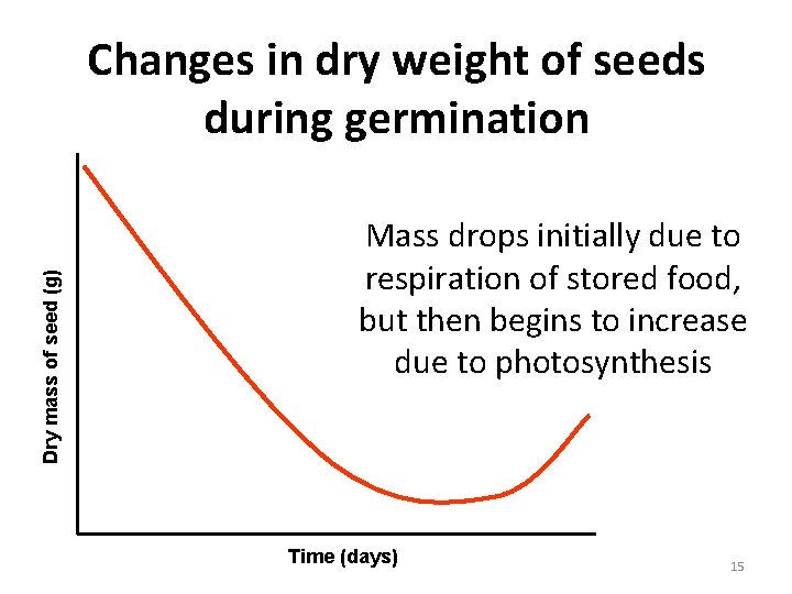 Dry mass of seed (g) Changes in dry weight of seeds during germination Mass