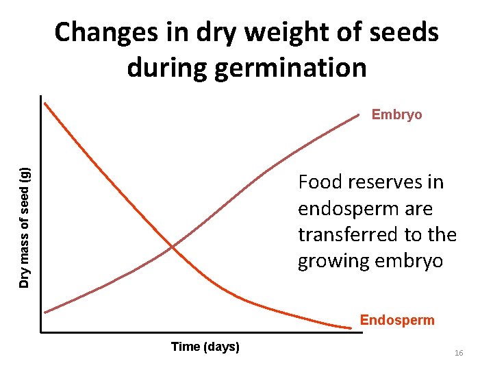 Changes in dry weight of seeds during germination Dry mass of seed (g) Embryo