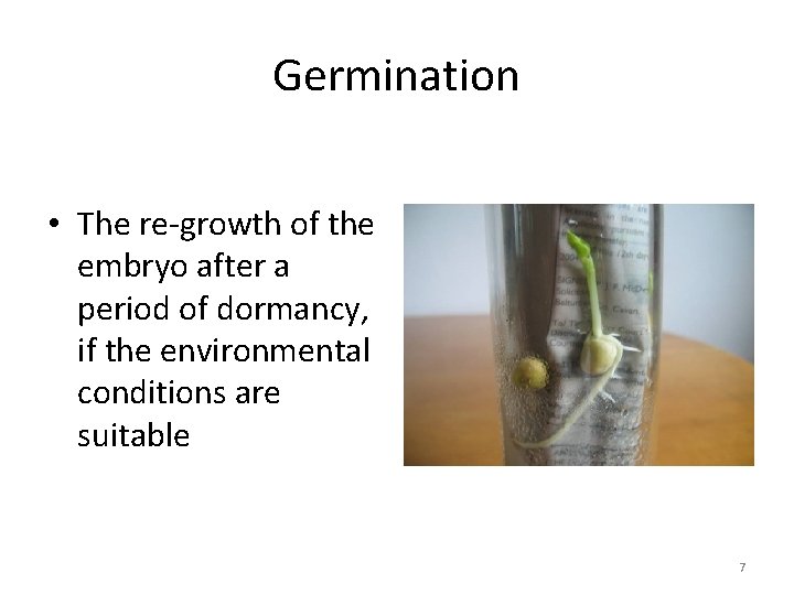 Germination • The re-growth of the embryo after a period of dormancy, if the