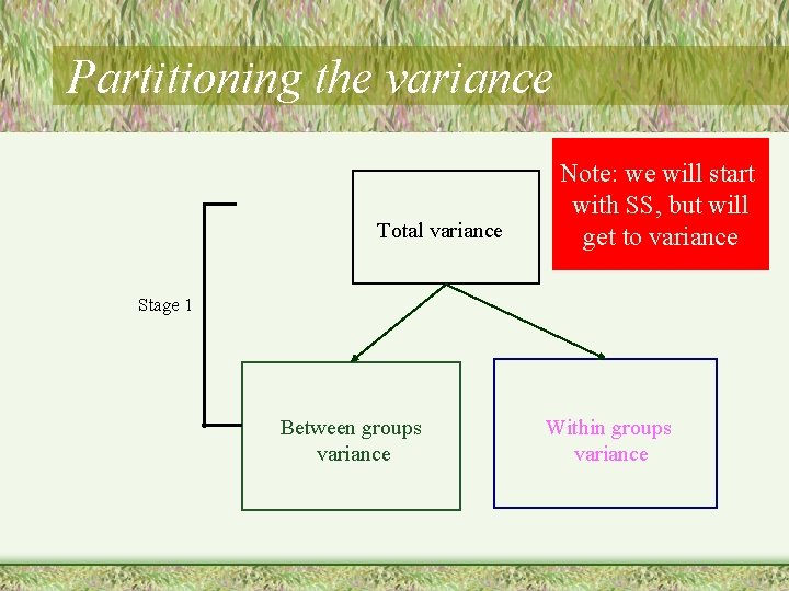 Partitioning the variance Total variance Note: we will start with SS, but will get