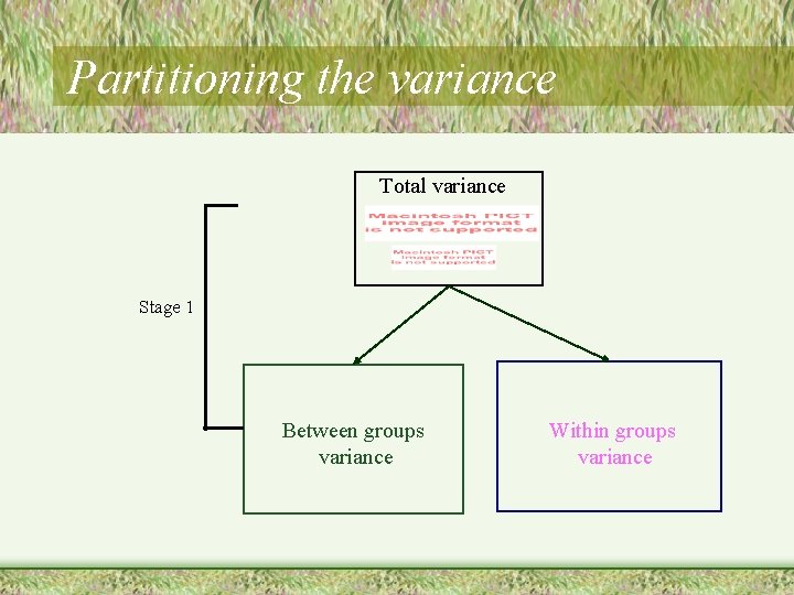 Partitioning the variance Total variance Stage 1 Between groups variance Within groups variance 