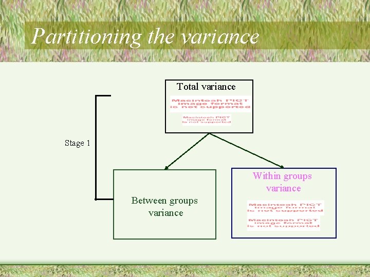 Partitioning the variance Total variance Stage 1 Within groups variance Between groups variance 